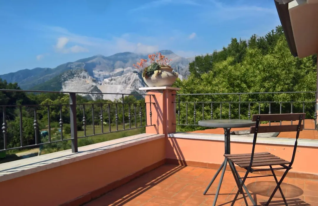 Il Nido Del Cuculo-1